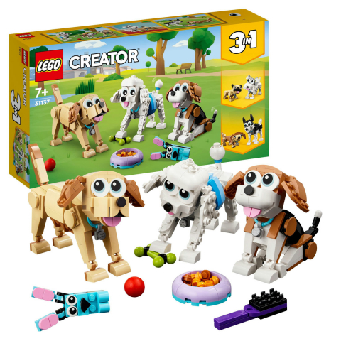 Import - Catei adorabili