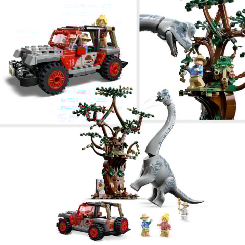 Descoperirea dinozaurului Brachiosaurus [7]