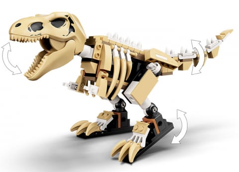 Expozitia de fosile de T. Rex [6]