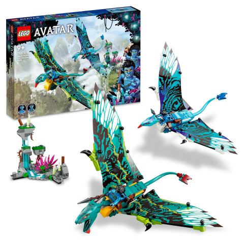 LEGO Disney - Primul zbor cu Banshee