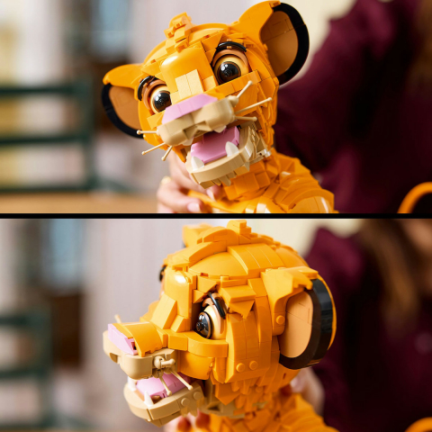 Simba, Regele Leu [7]