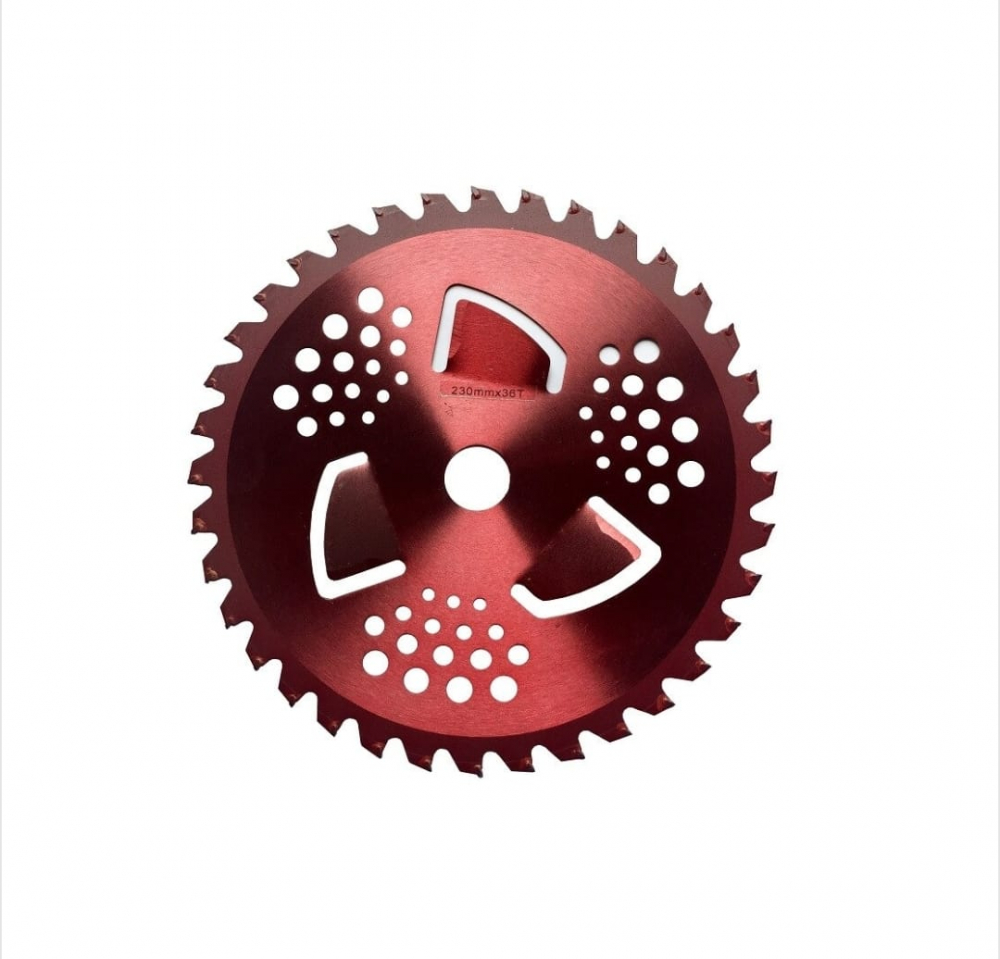 DISC MOTOCOASA [1]