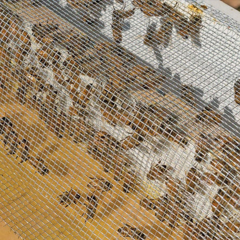 PLASA SARMA Zn 1X12 M [3]