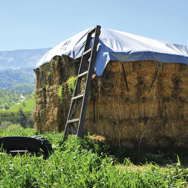 PRELATA CU INELE 80 G/MP, 6x10 M, ALBASTRU [2]