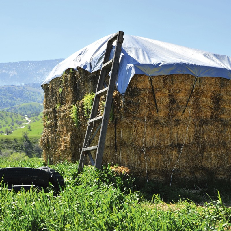 PRELATA CU INELE 80 G/MP, 8x12 M, ALBASTRU [2]