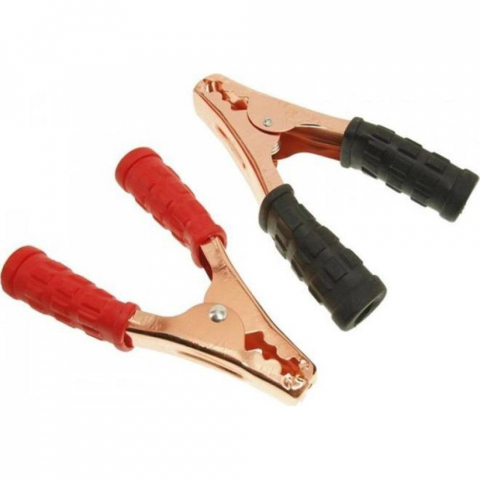 Clesti si patenti - CLESTI PORNIRE