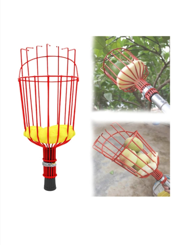 CULEGATOR FRUCTE [1]