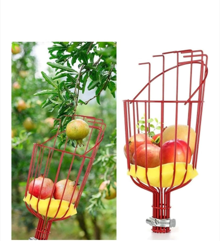 CULEGATOR FRUCTE [3]