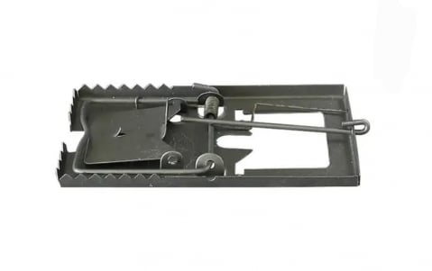 Ciocane si dalti - CURSA SOARECI