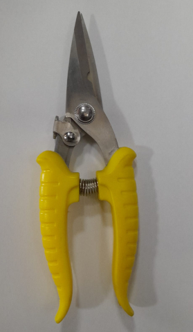 Produse - FOARFECA FLORI