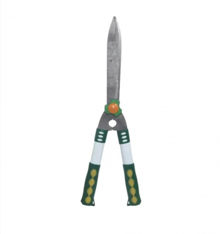 Produse - FOARFECA GARD VIU