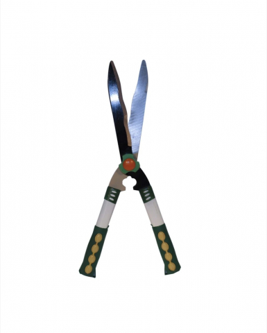 FOARFECA GARD VIU [1]