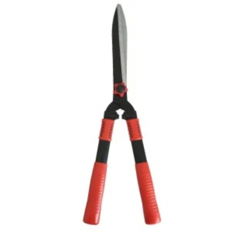 Produse - FOARFECA PENTRU GARD VIU