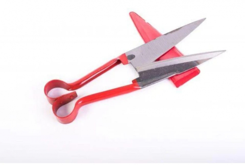 Maturi, mopuri si galeti - Foarfeca tuns oi