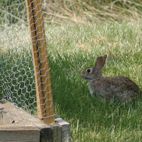 PLASA RABITZ Zn 1 x 50 M - 1"(25 MM)X0.6 MM [1]