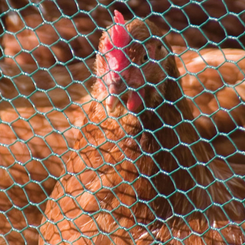 PLASA RABITZ Zn PLAST. 1X10 m - 3/4'' (19 MM) X 1.0/0.6 MM [1]