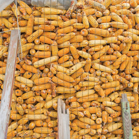 PLASA SARMA Zn 1X12 M - 7.6X7.6X1 MM [2]