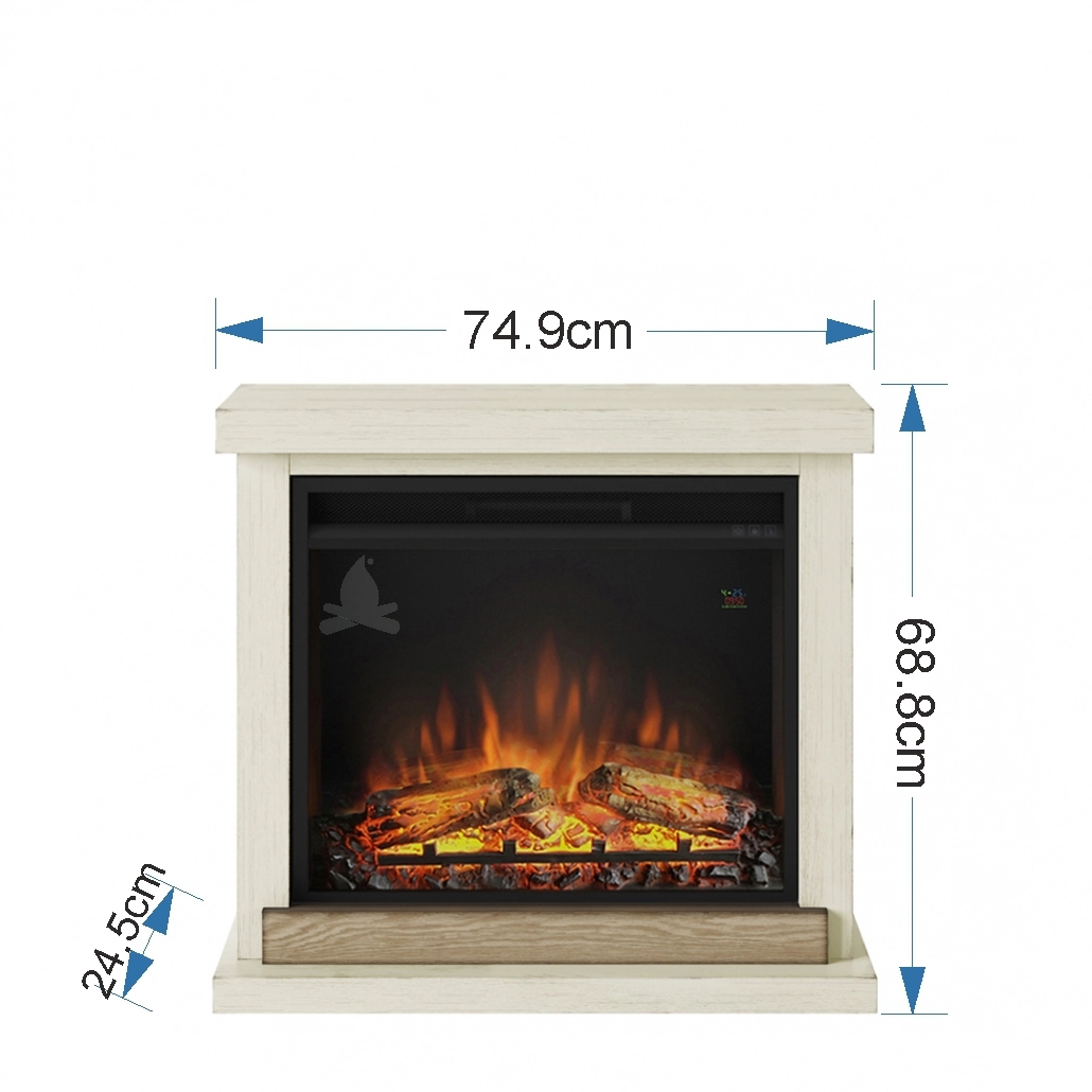 Hagen Antique Ivory semineu electric antic [6]