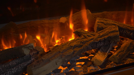 Focar șemineu electric New Forest 1200 [5]