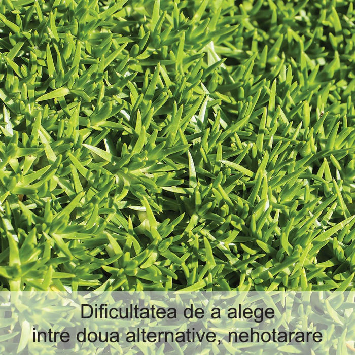 Scleranthus 20 ml [2]