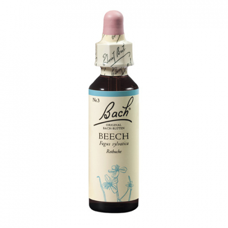 SHOP - Beech 20 ml