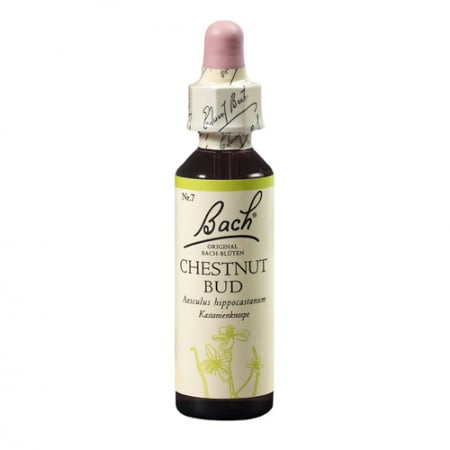SHOP - Chestnut Bud 20 ml