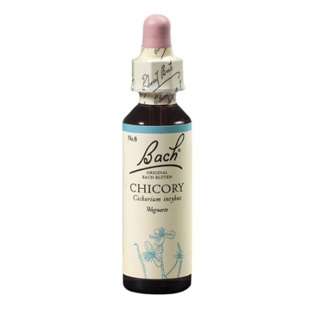 SHOP - Chicory 20 ml