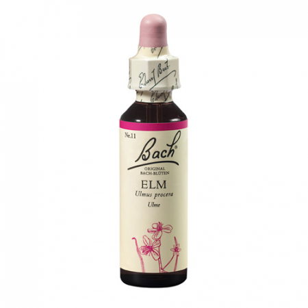 SHOP - Elm 20 ml