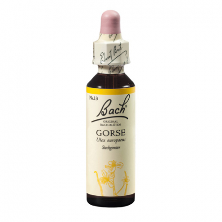 SHOP - Gorse 20 ml