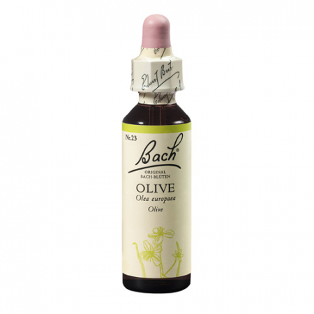 SHOP - Olive 20 ml