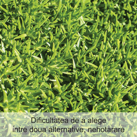 Scleranthus 20 ml [1]