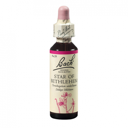 SHOP - Star of Bethlehem 20 ml