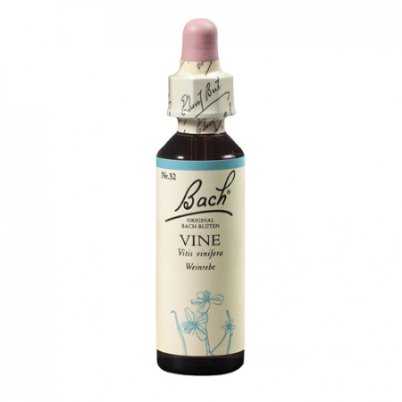 SHOP - Vine 20 ml