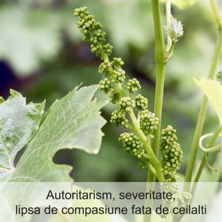 Vine 20 ml [1]