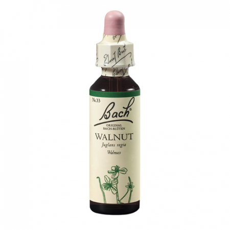 SHOP - Walnut 20 ml