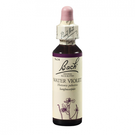 SHOP - Water Violet 20 ml
