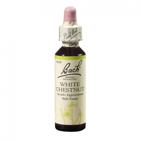 SHOP - White Chestnut 20 ml