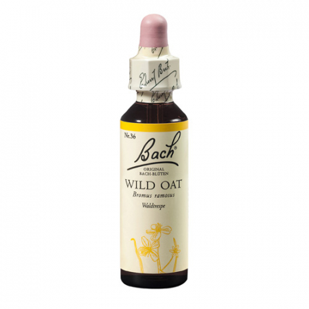 SHOP - Wild Oat 20 ml