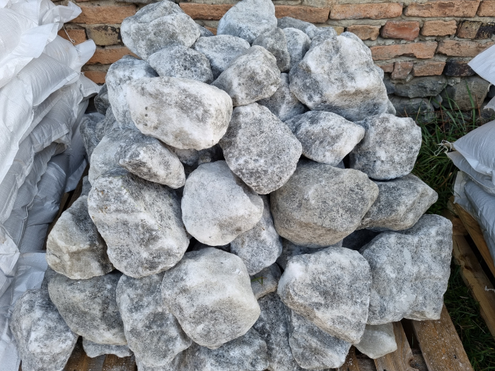 Sare bulgar din Praid zootehnie [2]