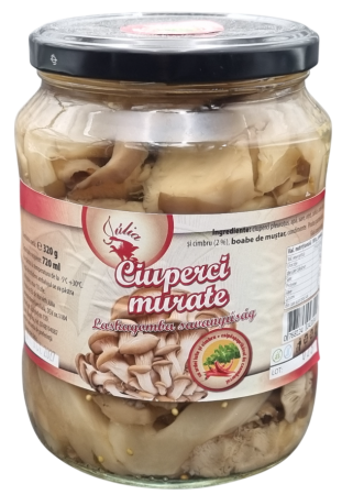 Alimente - Ciuperci Pleurotus murate – 320 g