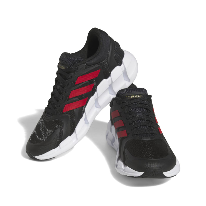 Pantofi Adidas Ventice Clima Cool HQ4169 [3]