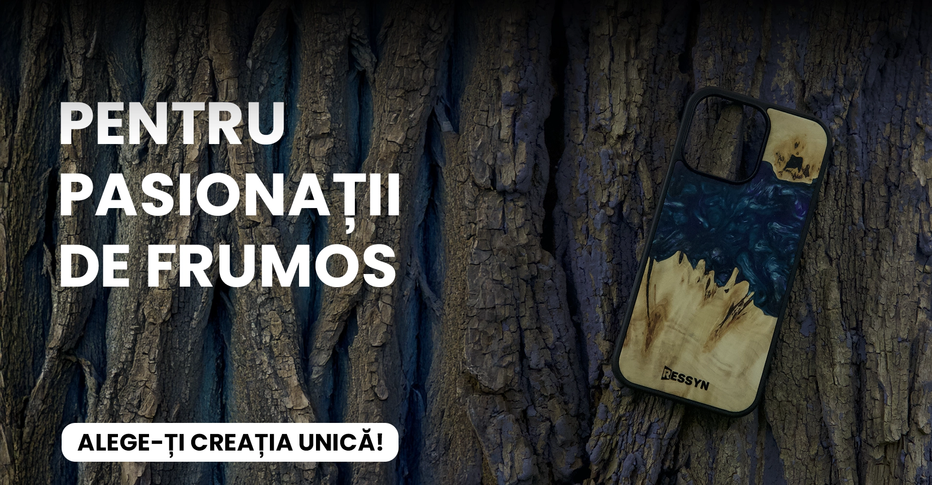 HOME PAGE BANNER - desktop 2