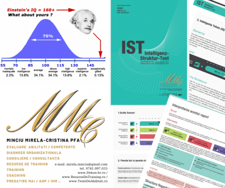 Test de Inteligenta IST (adulti - tineri- adolescenti) - Evaluator licentiat Mirela Minciu (Gîlcă)