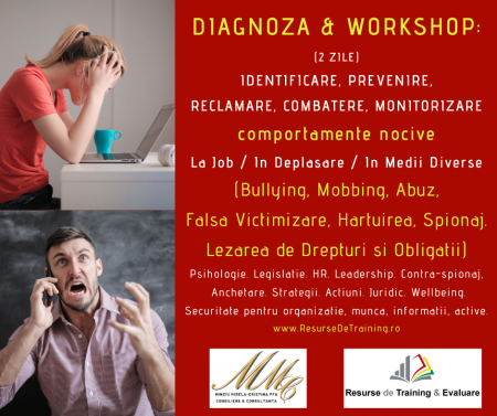 Consiliere / Consultanta - Workshop: ANTI-HARTUIRE, ANTI-MOBBING, ANTI-ABUZ LA LOCUL DE MUNCA, IN ORGANIZATII, IN DEPLASARE, IN MEDII DIVERSE