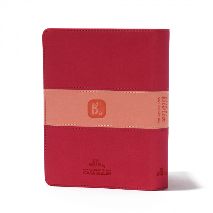 Biblia adolescentului roz închis [4]