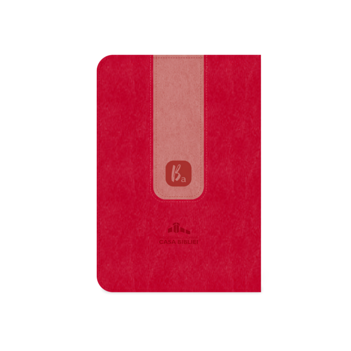 Biblia adolescentului roz închis [3]