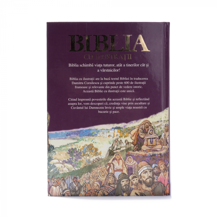 Biblia cu ilustrații [3]