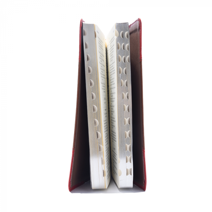 Biblia Noua Traducere Românească (NTR) - Vintage - roșu și maro - ediția a IV-a [4]