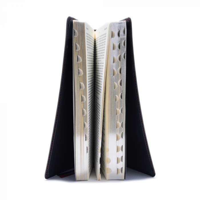 Biblia NTR neagră simplă [3]