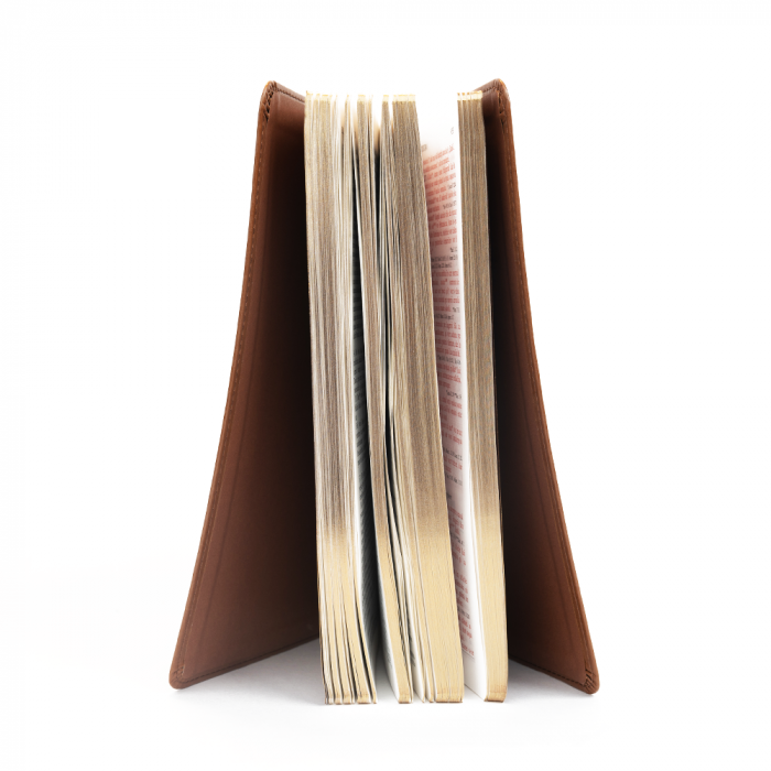 Biblie mare 073 bej [2]